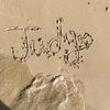 judy.ahmed644