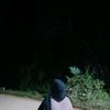windipebrianti11