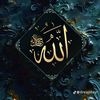 hasnahasns305