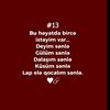 sonsuzsevgim855