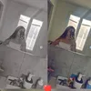 nini.chronique