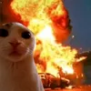 x0xokitkat