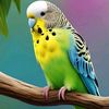 user9328736717853