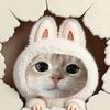 Janyaii.m