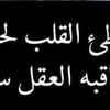 user7538067218339
