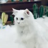 hamiengchosung0