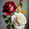 asid.ali183