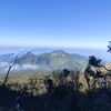 alviiii_331