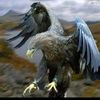 tony_montanap0