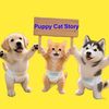 puppy.cat.story