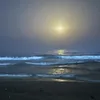 ahmed.444444444444