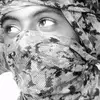 alnasr381