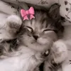 babymonster.carol99
