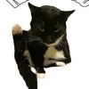 karimekxddd8