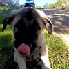 emma_traut1