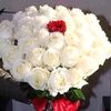 nameed786786