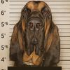 dukethebloodhound0