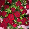 adeley_617