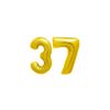 sardar.gull67