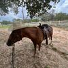 israel_espinoza12