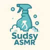 Sudsy cleans