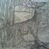 lyricalpoet63