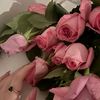 user5576502196687