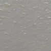 suippokoira