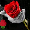 user106118708140
