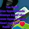 siifan arsi