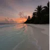 sahar.qaderi38