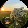 faw_f42