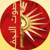 صوت النجف
