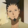 shikamaru582