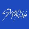 skz_memes1