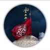 fatima.shah719
