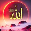 ybrehotmail.com