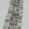 use.cuc.sng.mi