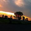 luci_rodri342