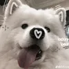 thuidit7
