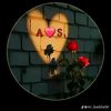 aqeel03194