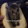 degy_eggy