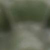 user5005010119804
