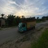 tonang865
