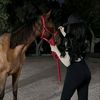 بـــنت بـــوهــــا