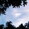 syafira1167