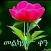 user4391712377265