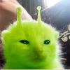 willowwwwww10