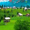 kohat.khan8412