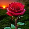 .chowdhury059
